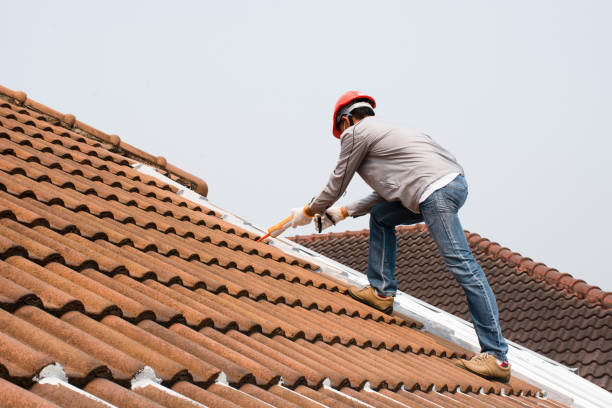 Professional Roofing services in Redlands, CO